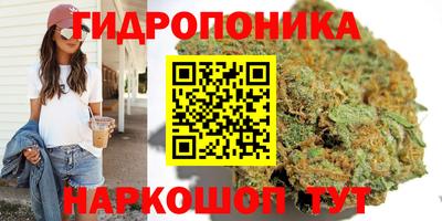 СК Бузулук