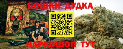 шишки Будённовск