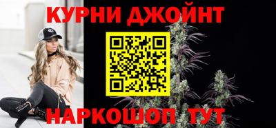 шишки Будённовск