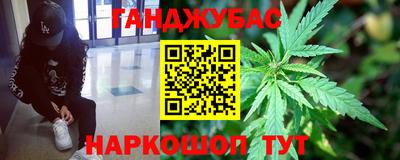 шишки Будённовск