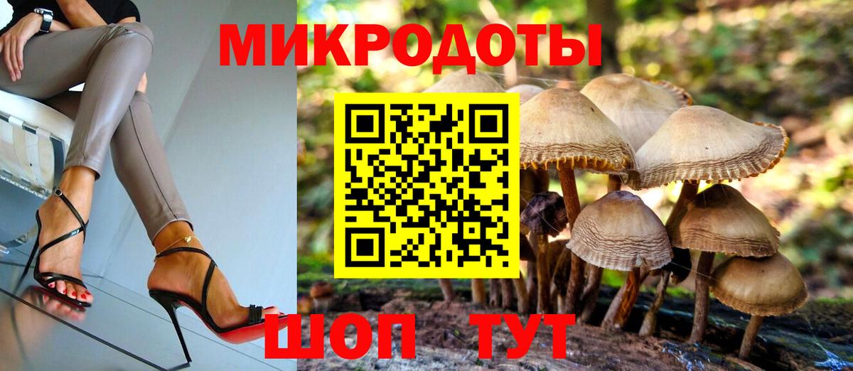 ГАШ Новороссийск