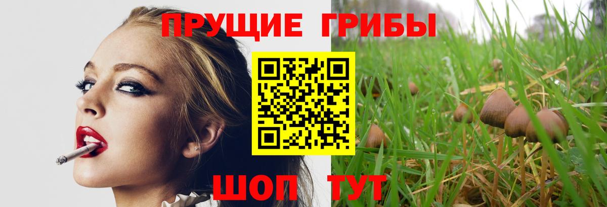 Псилоцибиновые грибы мухоморы  Вход с VPN  Новороссийск 