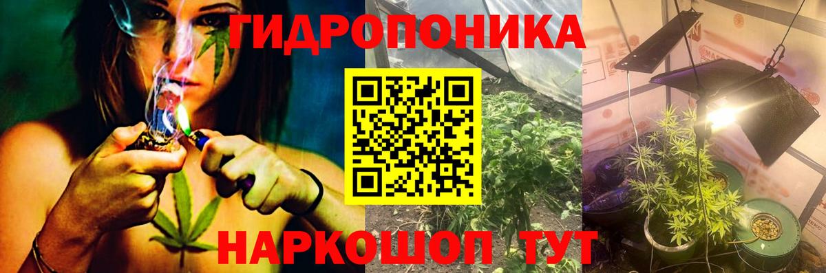 Шишки марихуана тримм  Шишки марихуана VHQ  Марихуана тримм  Вход с VPN  Новороссийск 